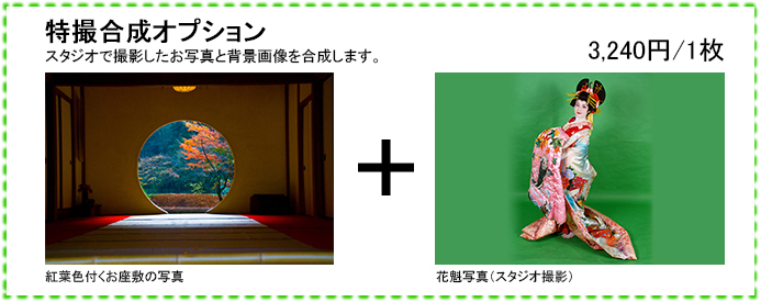 合成オプション