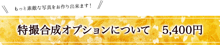 特撮合成オプションについて