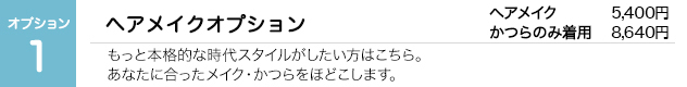オプション1