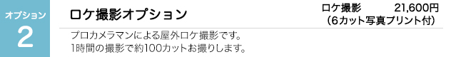 オプション2