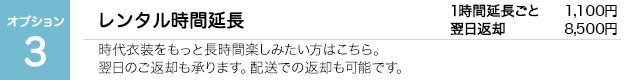 オプション3