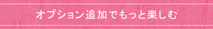 オプション追加でもっと楽しむ